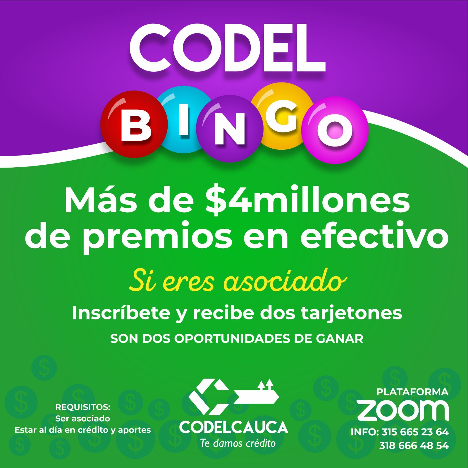 Bingo Virtual